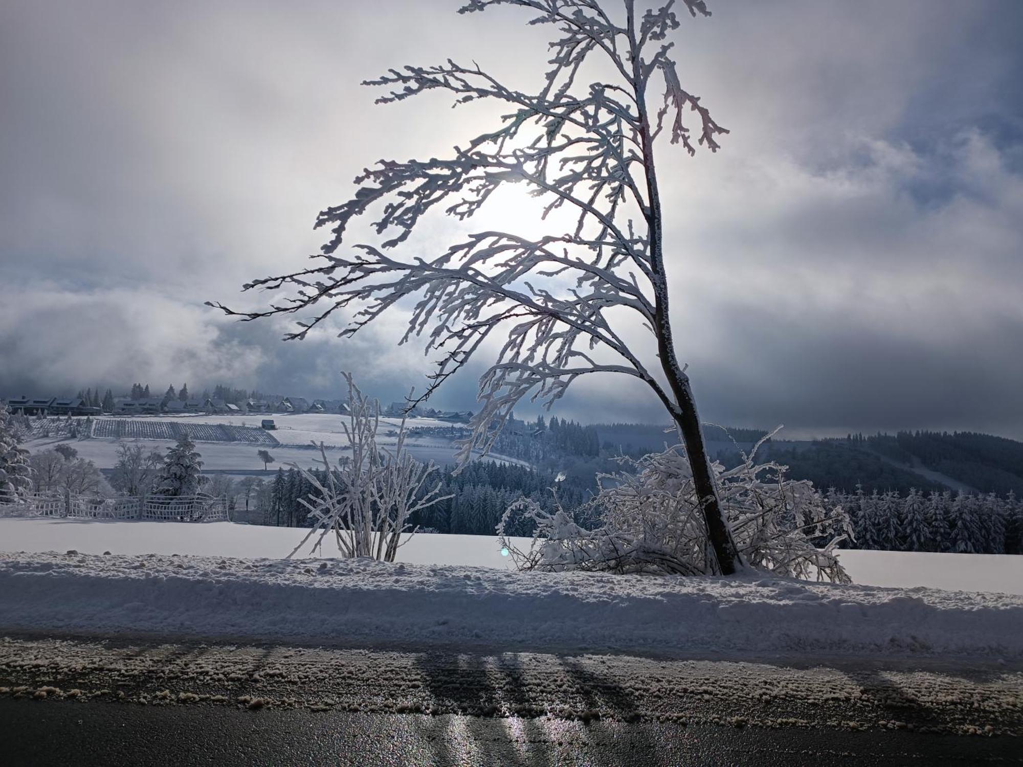 Pension Hubertus Winterberg Esterno foto