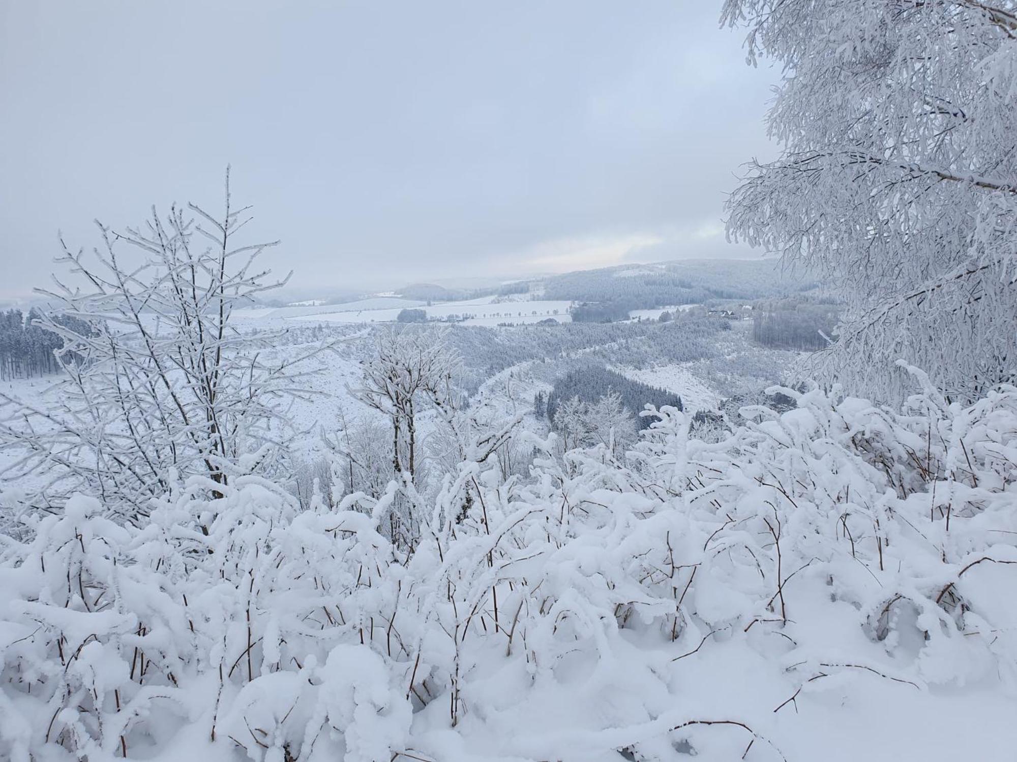 Pension Hubertus Winterberg Esterno foto