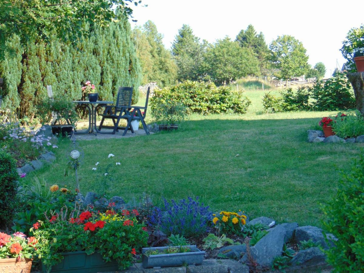 Pension Hubertus Winterberg Esterno foto